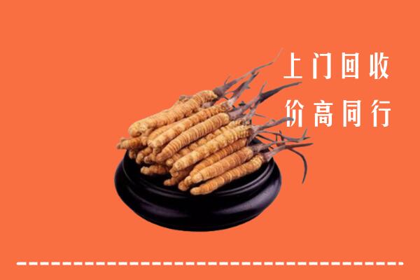 高价求购：晋中榆次区回收散虫草