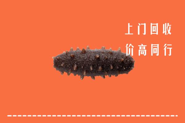 高价求购：晋中榆次区回收海参