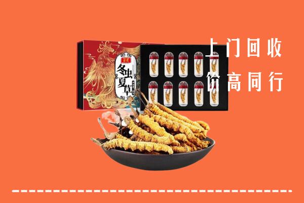 晋中榆次区回收虫草